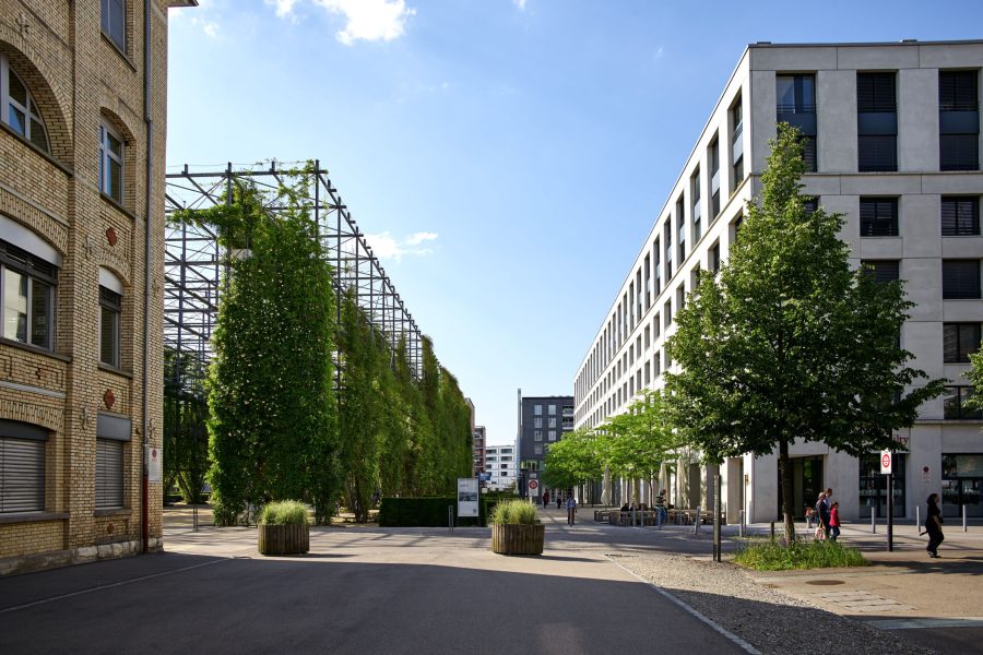 Jakob-Rope-Systems-GreenSolutions-vertikalus apzeldinimas 1