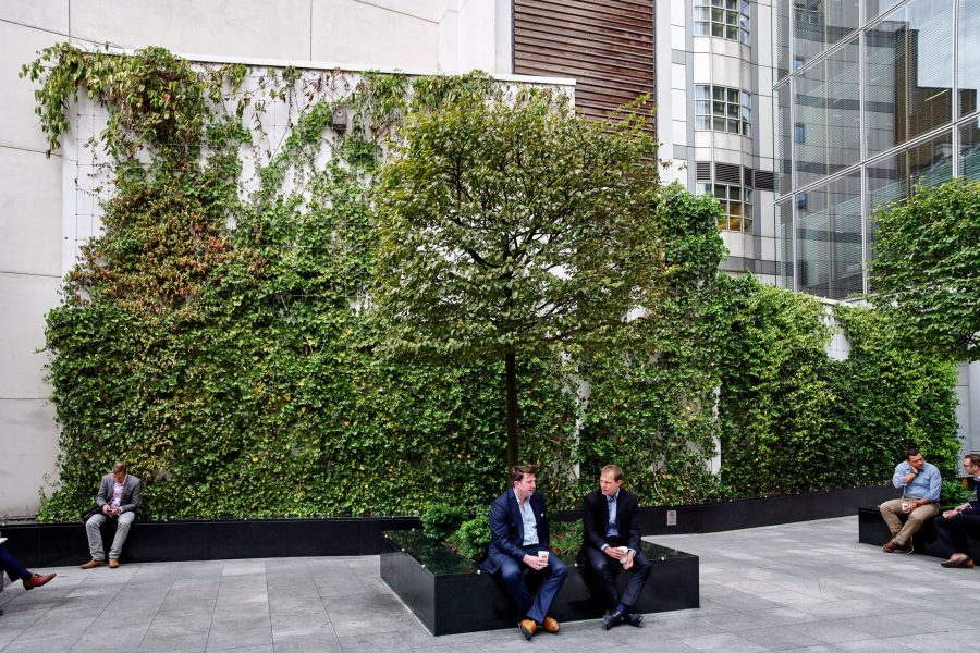 Jakob-Rope-Systems-GreenSolutions-vertikalus apzeldinimas